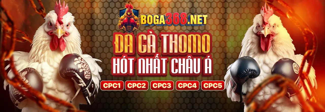 Tham gia 98win9 nhà cái ngay